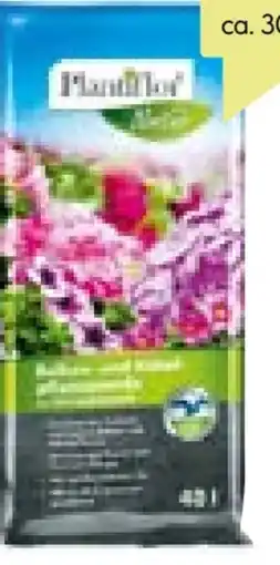 BayWa Plantiflor Balkon- und Kübelpflanzenerde Angebot