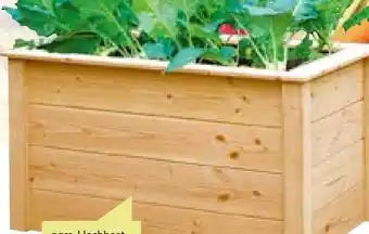 BayWa Wingart Hochbeet Angebot
