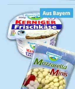 PENNY Bayernland Kerniger Frischkäse Angebot