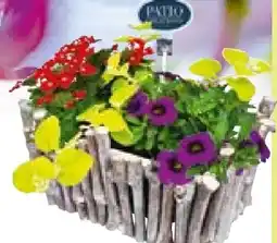 BayWa Bepflanzter Korb Angebot