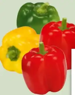 Edeka Xpress Bio-Paprika Rot Angebot