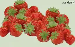 Edeka Xpress Erdbeeren Angebot