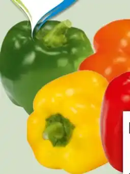 Edeka Xpress Paprika Rot Angebot