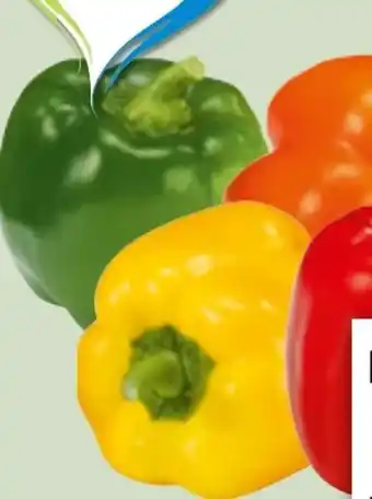 Edeka Xpress Paprika Rot Angebot