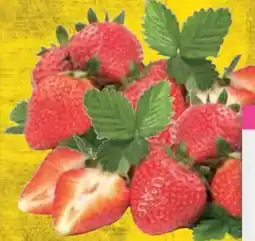 E-Center Erdbeeren Angebot