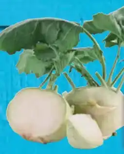 E-Center Kohlrabi Angebot
