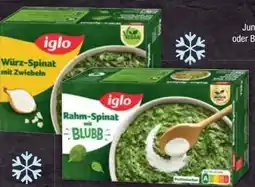 E-Center Iglo Rahm-Spinat Angebot