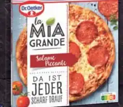 E-Center Dr. Oetker Pizza la Mia Grande Salame Piccante Angebot