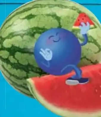 E-Center Wassermelone Angebot