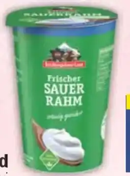 E-Center Berchtesgadener Land Sauerrahm Angebot