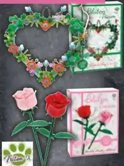 Edeka Blumen Baustein-Set Angebot
