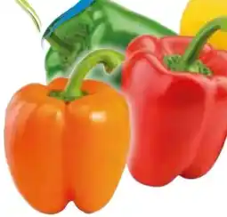 Edeka Paprika Rot Angebot