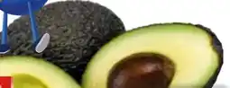 Edeka Gut & Günstig Avocado Hass Angebot