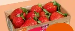 tegut tegut... Erdbeeren Angebot