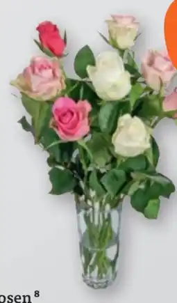 tegut Rosenstrauß Angebot