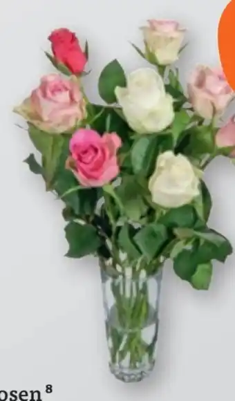 tegut Rosenstrauß Angebot