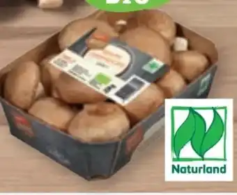 tegut Naturland tegut... Bio-Champignons Angebot