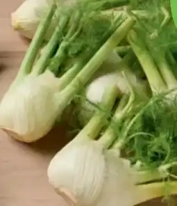 tegut Bio-Fenchel Angebot
