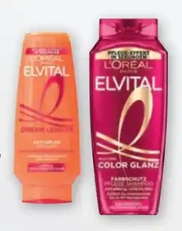 tegut L'Oréal Paris Elvital Shampoo Color-Glanz Angebot