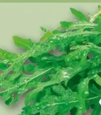 REWE Center Rewe Bio Bio-Rucola Angebot