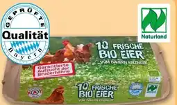 REWE Center Federhof Bio-Eier Angebot
