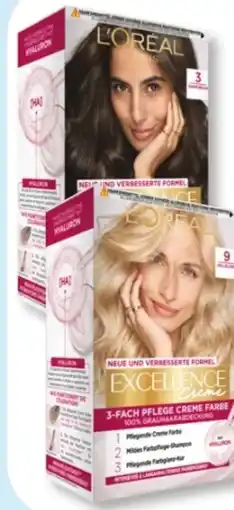 Budni L'Oréal Paris Excellence Coloration Angebot