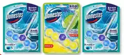 Budni Domestos WC-Stein Angebot