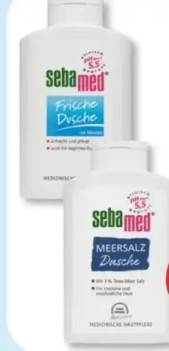 Budni Sebamed Dusche Angebot