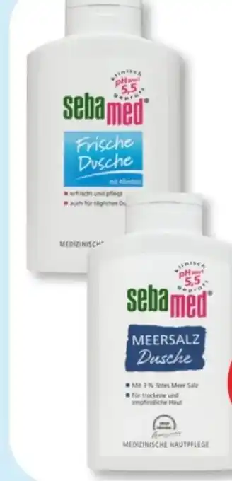 Budni Sebamed Dusche Angebot