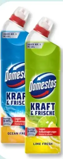 Budni Domestos WC Gel Kraft & Frische Angebot