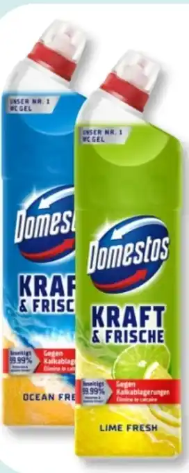 Budni Domestos WC Gel Kraft & Frische Angebot