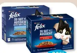 Budni Purina Felix Katzennahrung Angebot