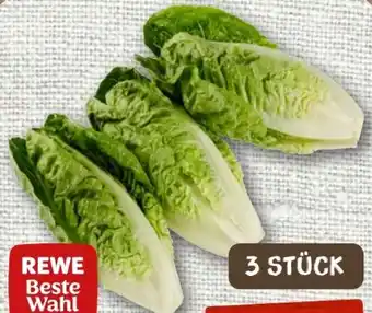 nahkauf Rewe Beste Wahl Romana Salatherzen Angebot