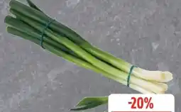 Edeka Lauchzwiebeln Angebot