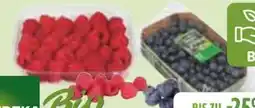 Edeka Edeka Bio Himbeeren Angebot