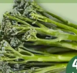 REWE Center Bimi Broccolini Angebot