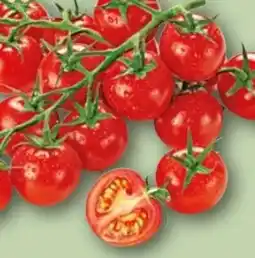 REWE Center Rewe Feine Welt Mini Cherry Rispentomaten Angebot