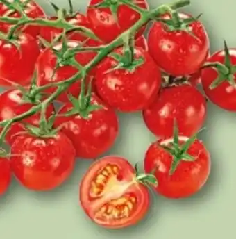 REWE Center Rewe Feine Welt Mini Cherry Rispentomaten Angebot