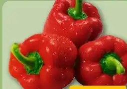 REWE Center Rote Paprika Angebot