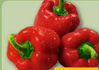 REWE Center Rote Paprika Angebot