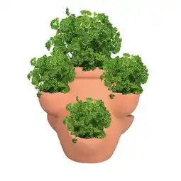 Hellweg Haveson Erdbeer Kräutertopf Giardino Angebot