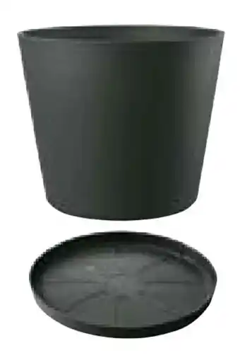 Hellweg Deroma Pflanztopfserie Origin Angebot