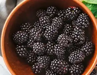 nahkauf Brombeeren Angebot