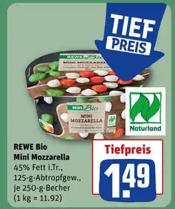 REWE Rewe bio mini mozzarella Angebot