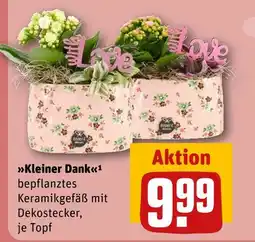 REWE Expert kleiner dank Angebot