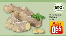 REWE Bio ingwer Angebot