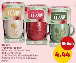 PENNY Beckys frühlings-tea-set Angebot