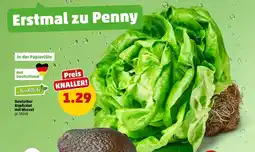 PENNY Marktliebe deutscher kopfsalat mit wurzel Angebot