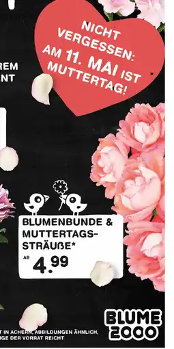 E-Center Blume 2000 blumenbunde & muttertagssträuße Angebot