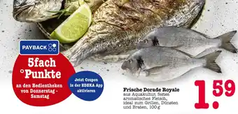 E-Center Frische dorade royale Angebot